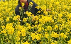 欲罢不能综艺未删减资源百度云